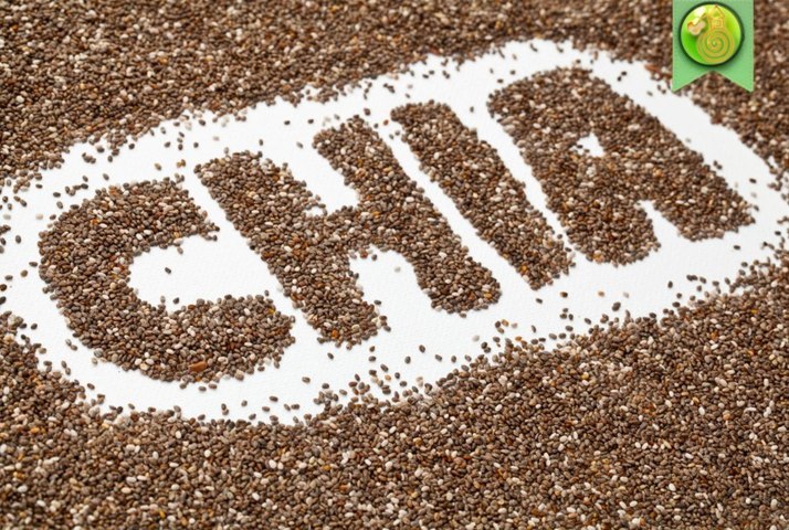 CONTROLAR LA OBESIDAD: SEMILLAS DE CHIA