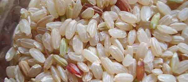 Propiedades del arroz yamaní
