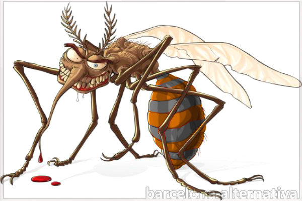 CÓMO EVITAR EL CONTAGIO DE PICADURA DEL MOSQUITO TIGRE